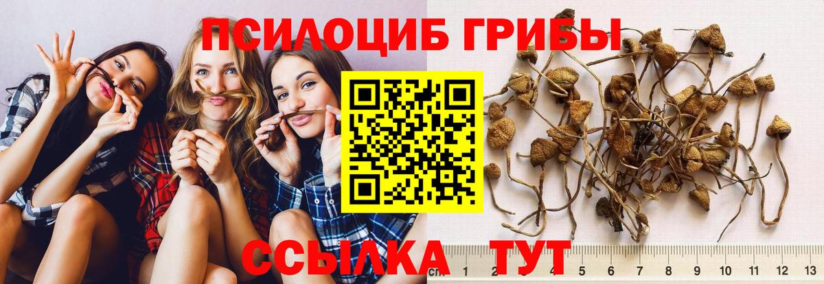 купить закладку  Вход с VPN  Воркута  Псилоцибиновые грибы мицелий  Псилоцибиновые грибы Magic Shrooms 